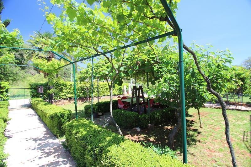 The Green House - 20M From The Beach Novigrad Istria Camera foto